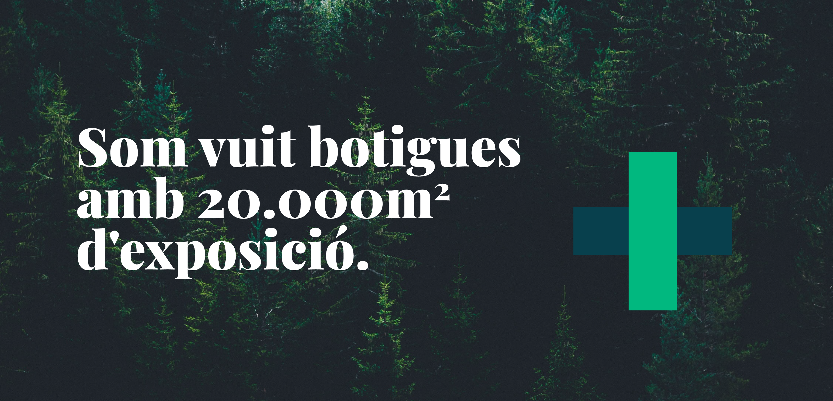 Núria Royo, Cofundadora y DMM de La Mapache