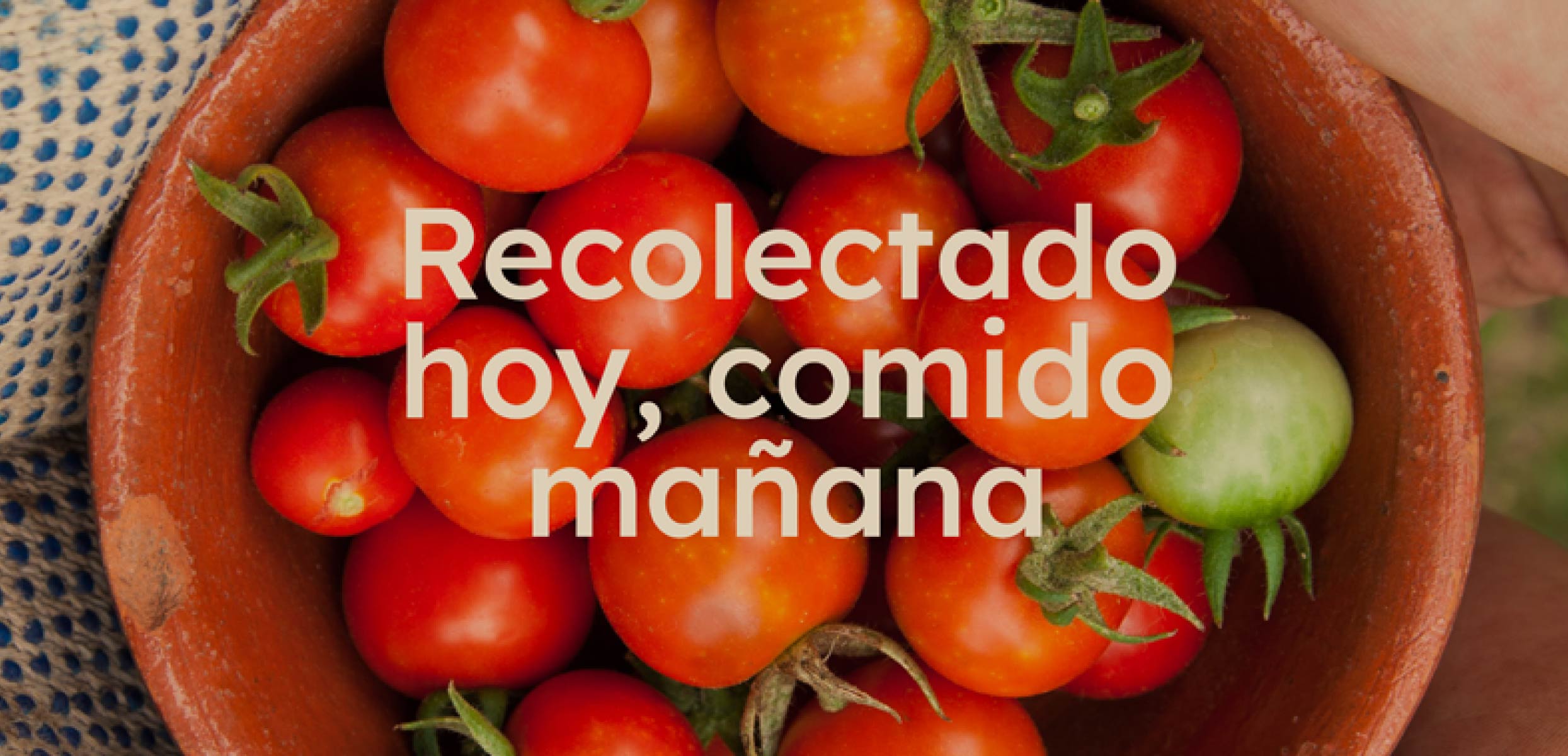 Núria Royo, Cofundadora y DMM de La Mapache