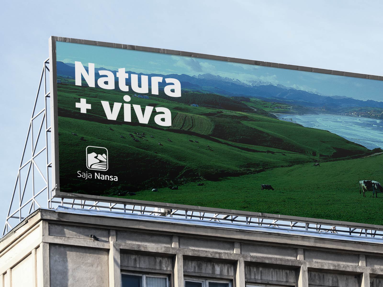 Núria Royo, Cofundadora y DMM de La Mapache